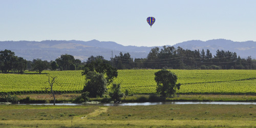 Hot air Balloon