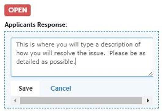 Applicants Response field filled with example content